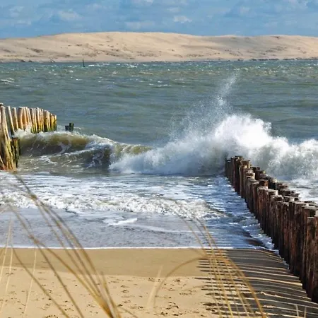 T1bis Dans Les Dunes Du Cap Ferret アパート