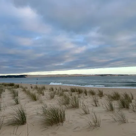 T1bis Dans Les Dunes Du Cap Ferret * Lège-Cap-Ferret